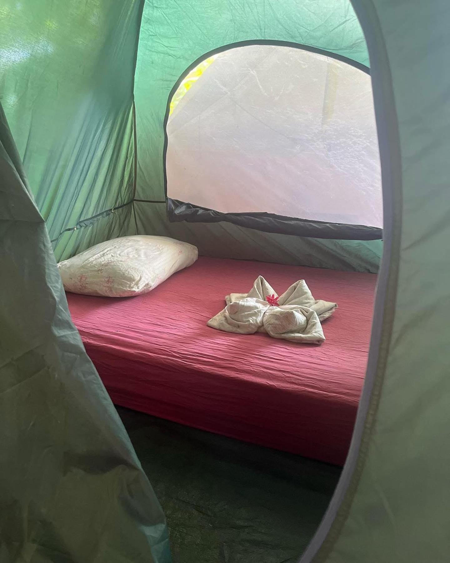 La Y Surf Camp 호텔 보카스 타운 외부 사진